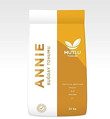 Buğday Annie